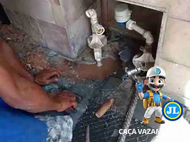 Serviço profissional de detecção de vazamento guarulhos